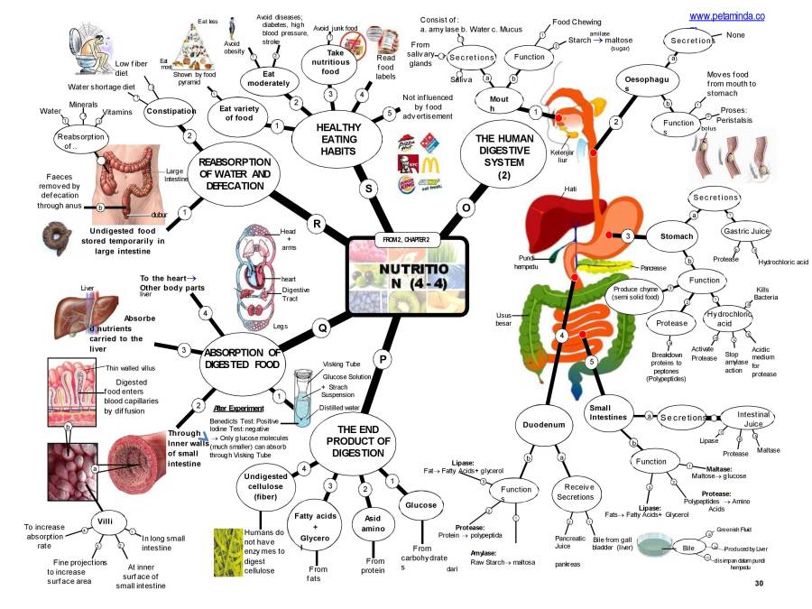 Notes On Form 2 - Science - CHAPTER 1-4 - Notes - MyPrivateTutor Malaysia