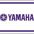 Yamaha Academy Of Arts And Music